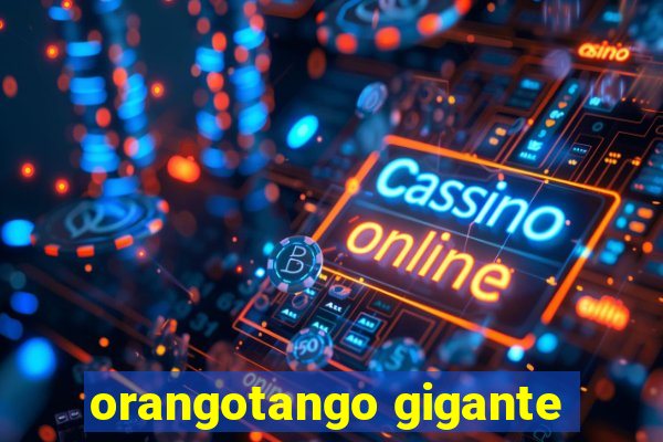 orangotango gigante